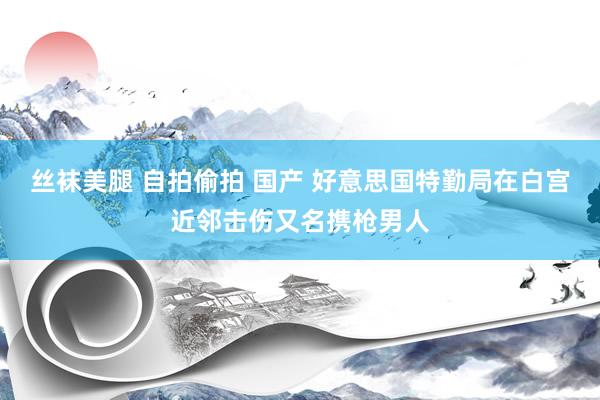 丝袜美腿 自拍偷拍 国产 好意思国特勤局在白宫近邻击伤又名携枪男人