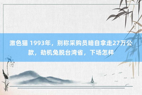 激色猫 1993年，别称采购员暗自拿走27万公款，劫机兔脱台湾省，下场怎样