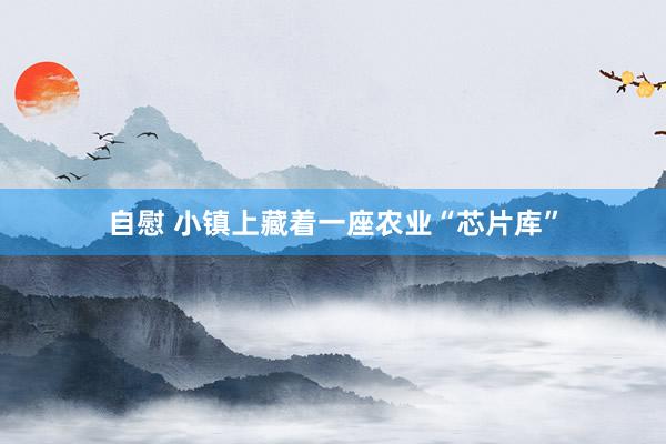 自慰 小镇上藏着一座农业“芯片库”