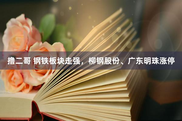 撸二哥 钢铁板块走强，柳钢股份、广东明珠涨停