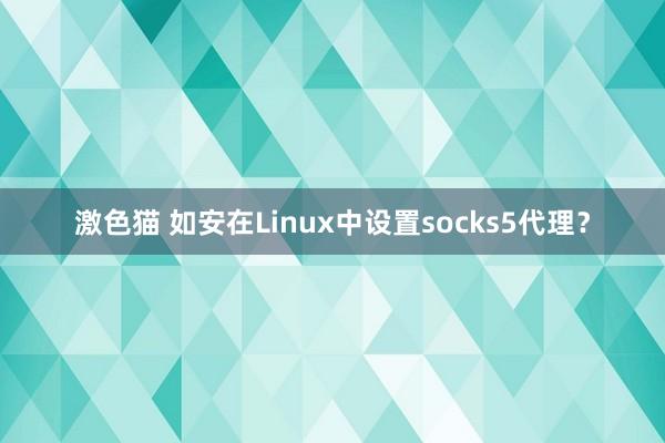 激色猫 如安在Linux中设置socks5代理？