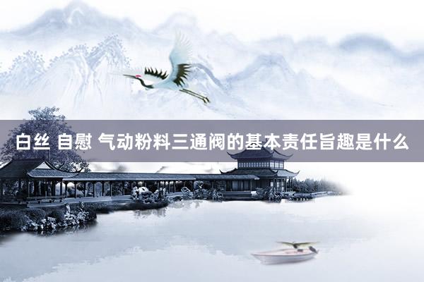 白丝 自慰 气动粉料三通阀的基本责任旨趣是什么