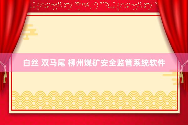 白丝 双马尾 柳州煤矿安全监管系统软件
