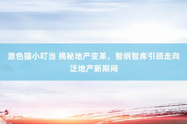 激色猫小叮当 揭秘地产变革，智纲智库引颈走向泛地产新期间