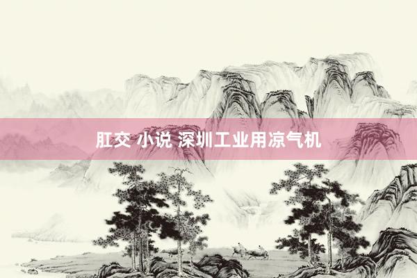 肛交 小说 深圳工业用凉气机