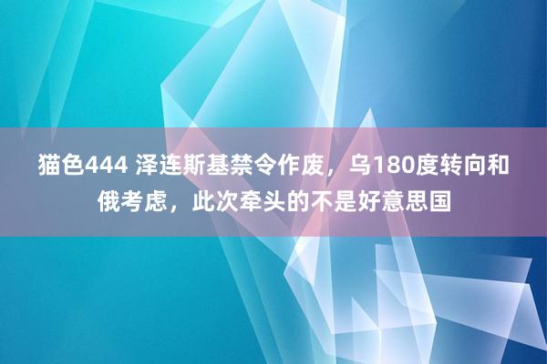 猫色444 泽连斯基禁令作废，乌180度转向和俄考虑，此次牵头的不是好意思国