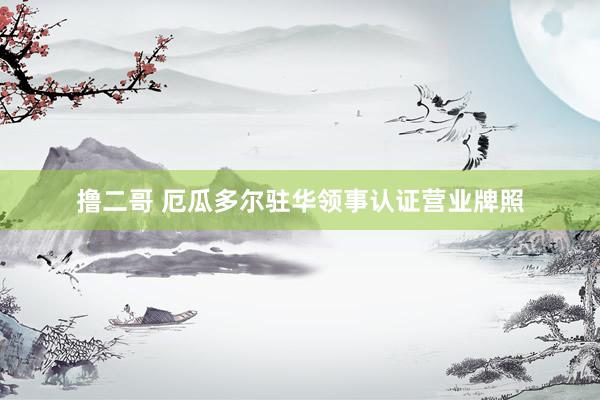 撸二哥 厄瓜多尔驻华领事认证营业牌照