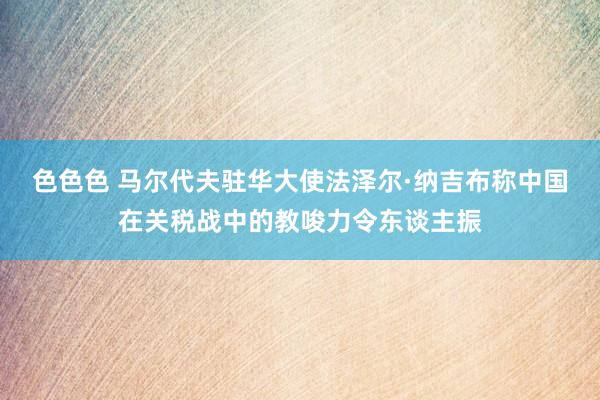 色色色 马尔代夫驻华大使法泽尔·纳吉布称中国在关税战中的教唆力令东谈主振