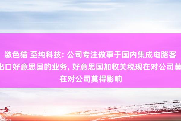 激色猫 至纯科技: 公司专注做事于国内集成电路客户， 无出口好意思国的业务， 好意思国加收关税现在对公司莫得影响