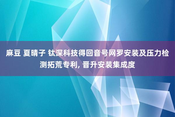 麻豆 夏晴子 钛深科技得回音号网罗安装及压力检测拓荒专利， 晋升安装集成度