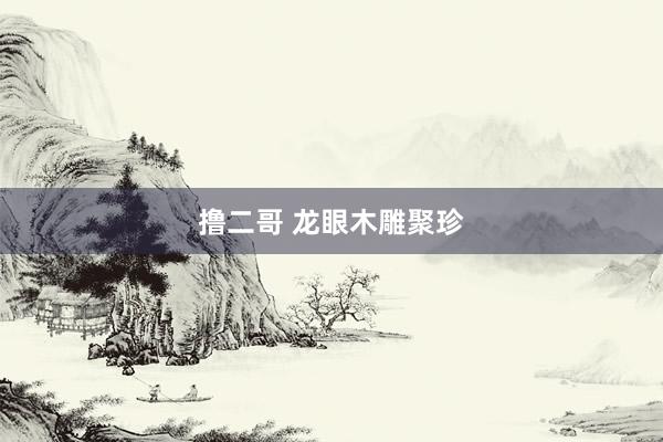 撸二哥 龙眼木雕聚珍